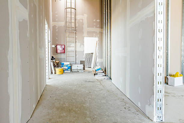 Best Water-Damaged Drywall Repair  in Cienega Springs, AZ